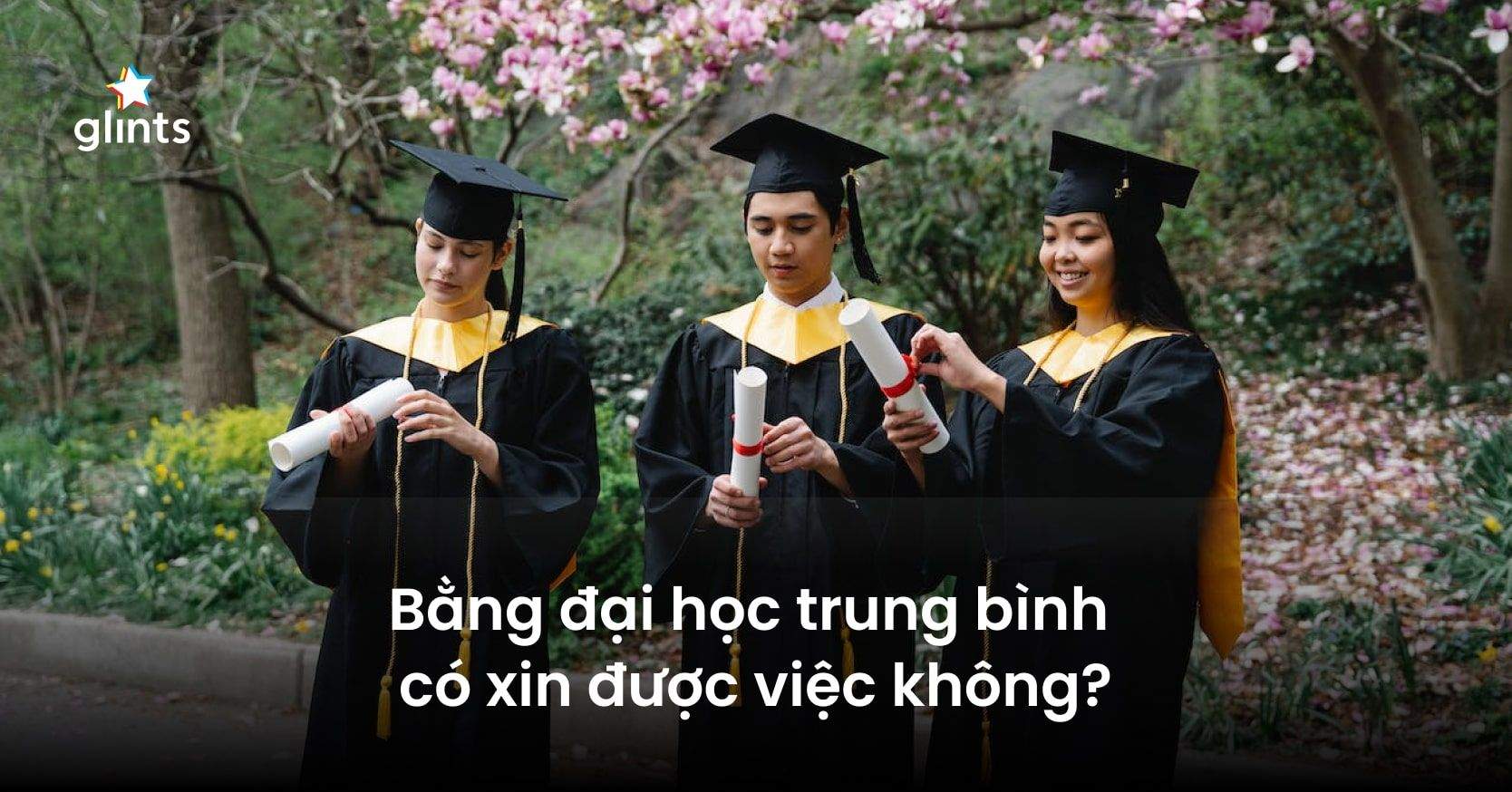 Bằng Đại Học Trung Bình Có Xin Được Việc Không?