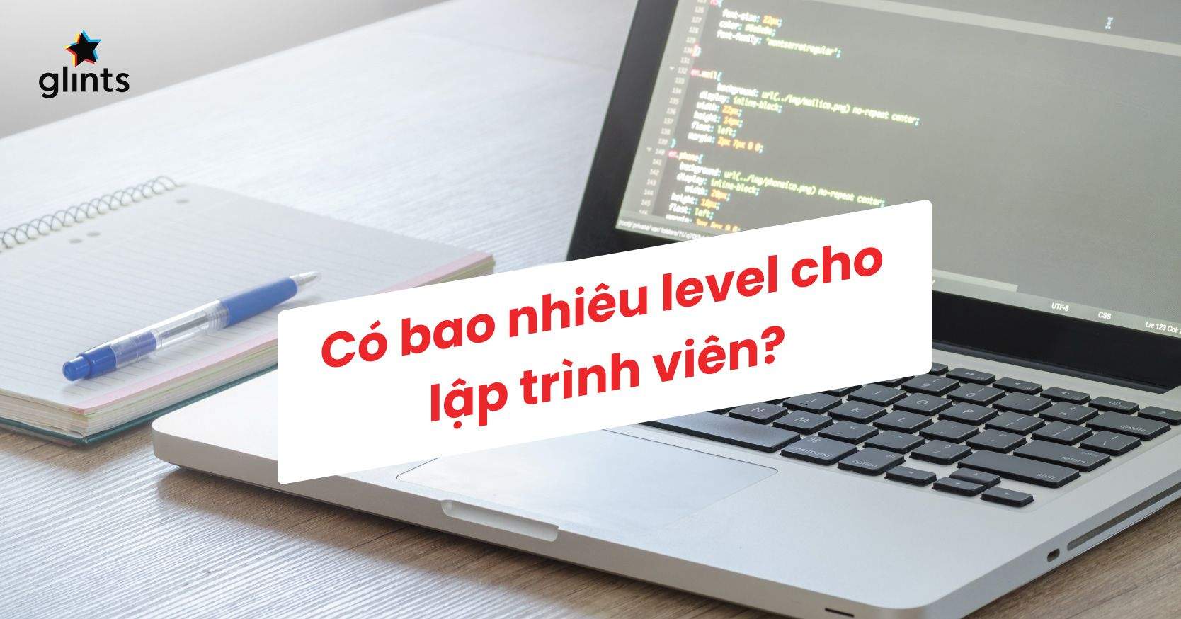 Các Cấp Độ Lập Trình Viên: Có Bao Nhiêu Level Cho Một Lập Trình Viên? 