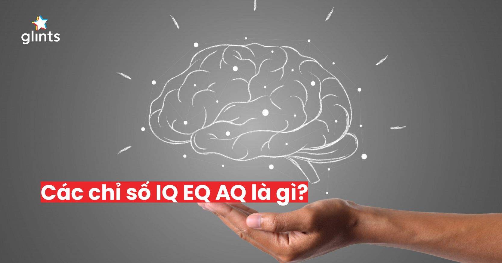 Các Chỉ Số IQ EQ AQ – Tìm Hiểu “Big3” Quyết Định Thành Công Của Bạn