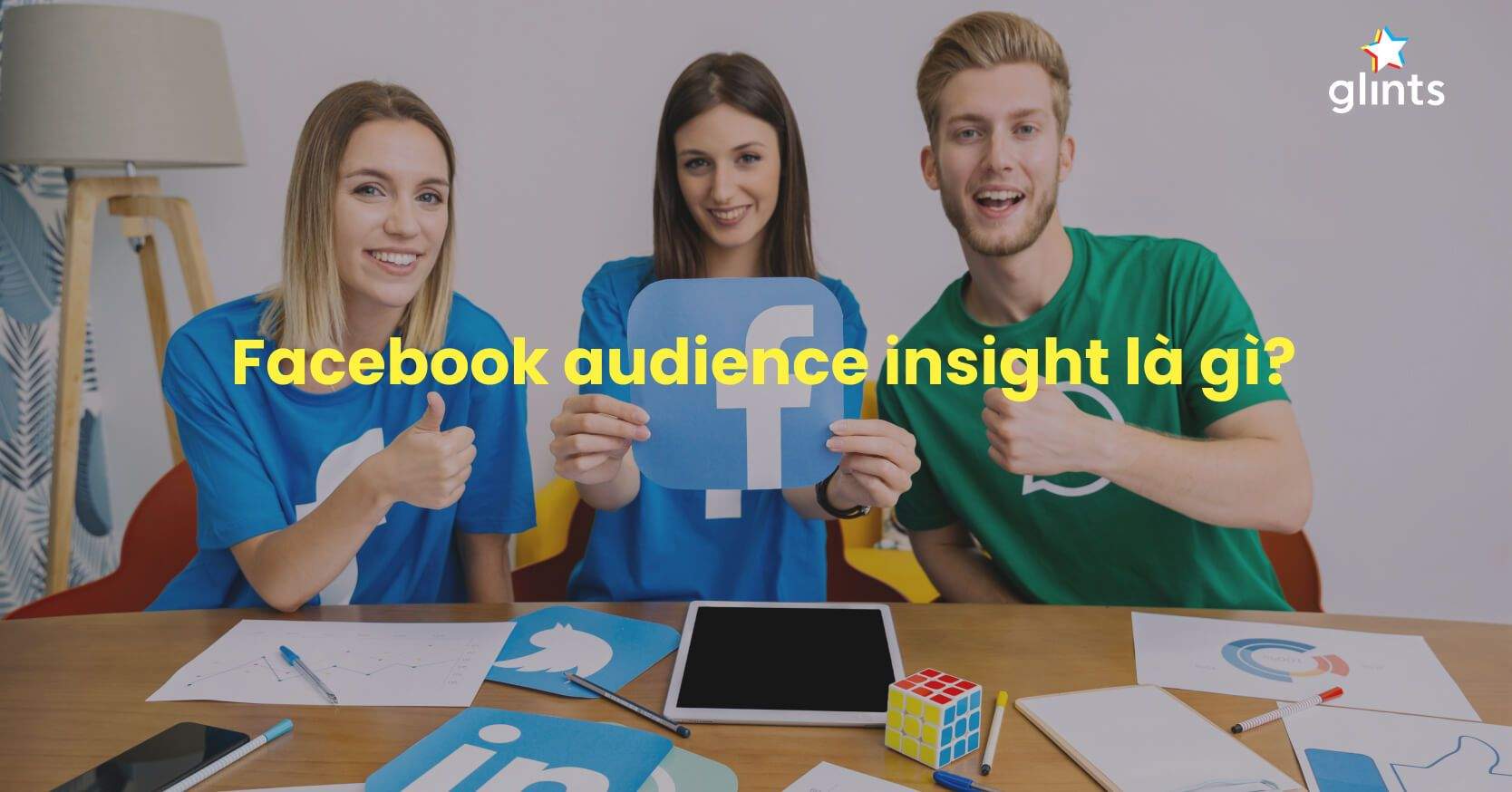 Cách Sử Dụng Facebook Audience Insight Hiệu Quả
