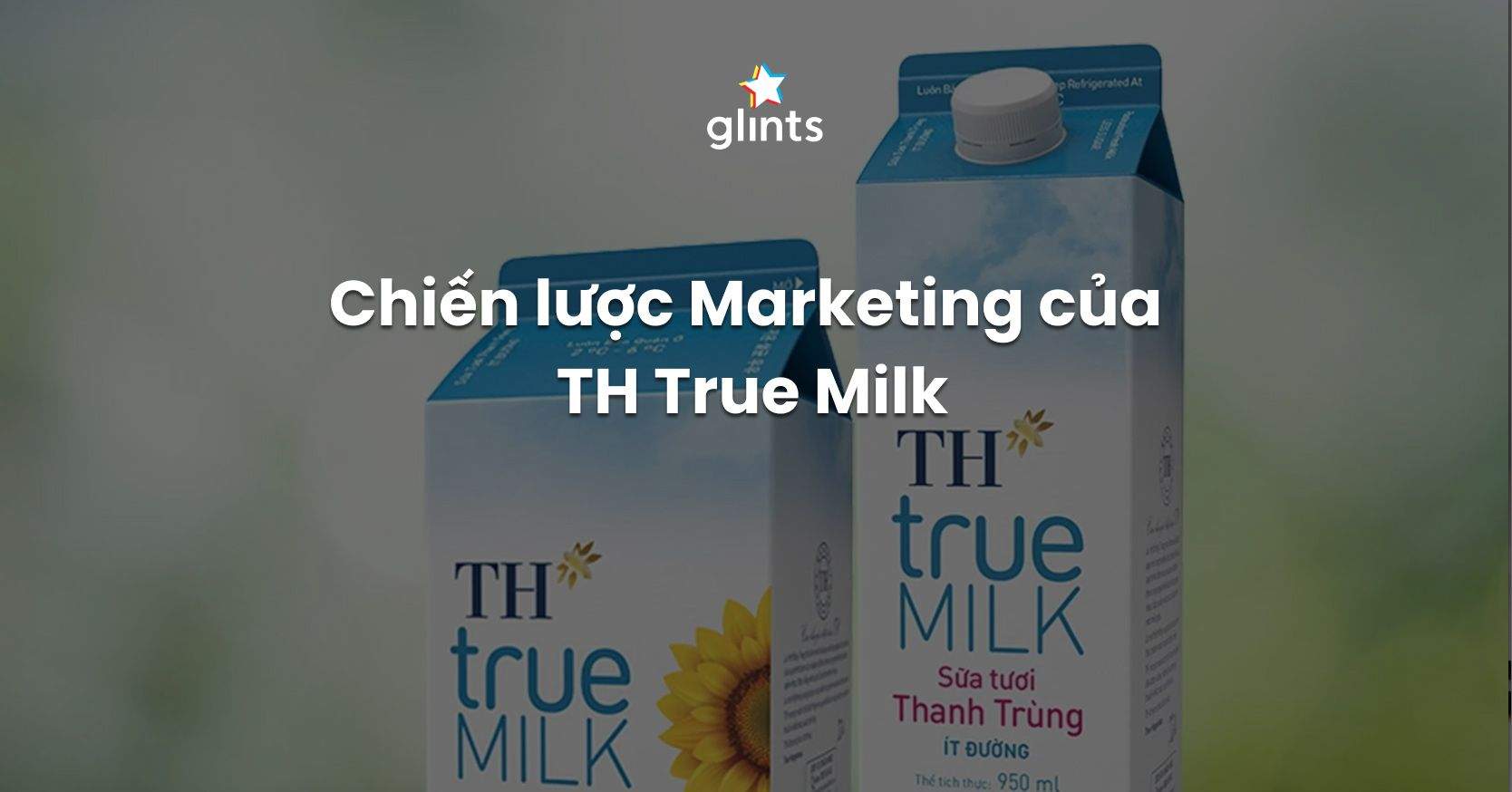 Chiến Lược Marketing Của TH True Milk: Kiên Nhẫn Tạo Nên Khác Biệt Chưa Bao Giờ Là Muộn