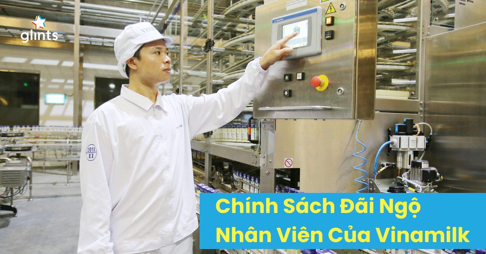 Chính Sách Đãi Ngộ Nhân Viên Của Vinamilk – Top Đầu Môi Trường Làm Việc Tốt Nhất Việt Nam 