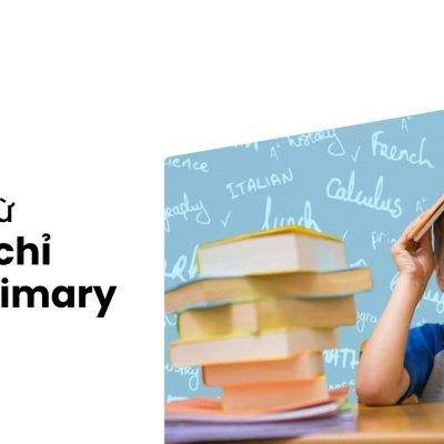 Chứng Chỉ TOEFL Primary Là Gì? 5 Lợi Ích Từ Phiếu Điểm TOEFL Primary