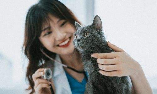 Chuyên Ngành Bác Sĩ Thú Y – Top 10 Ngành Nghề ‘Cực Hot’ Vào Năm 2025 7 bác sĩ thú y học mấy năm