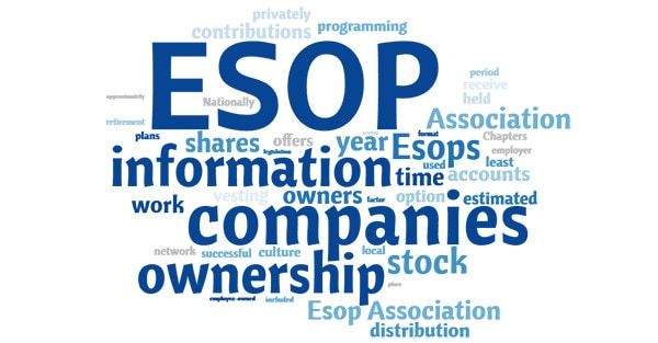 co phieu esop nhung dieu ban nen biet ve loai hinh phuc loi pho bien trong cac startup cong nghe 65c84ea27496d