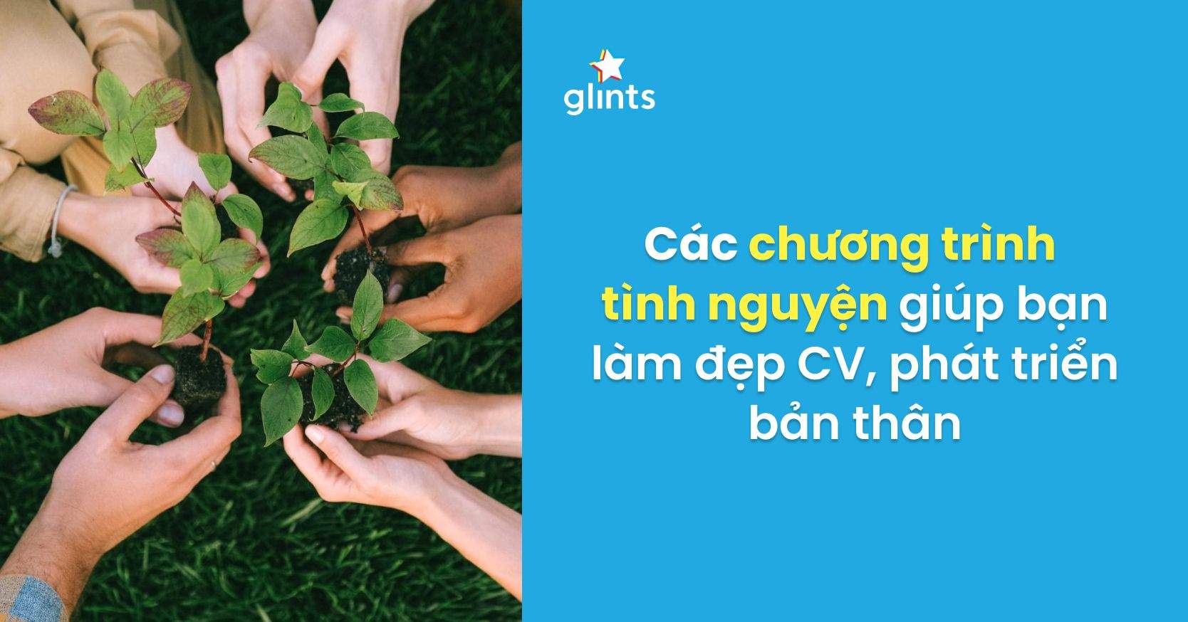 Công Việc Tình Nguyện Là Gì? Các Chương Trình Tình Nguyện Bạn Nên Tham Gia
