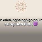 Cung Bảo Bình Làm Nghề Gì Phù Hợp Nhất? Cung Bảo Bình “Quẹt Phải” Với Đồng Nghiệp Cung Nào?