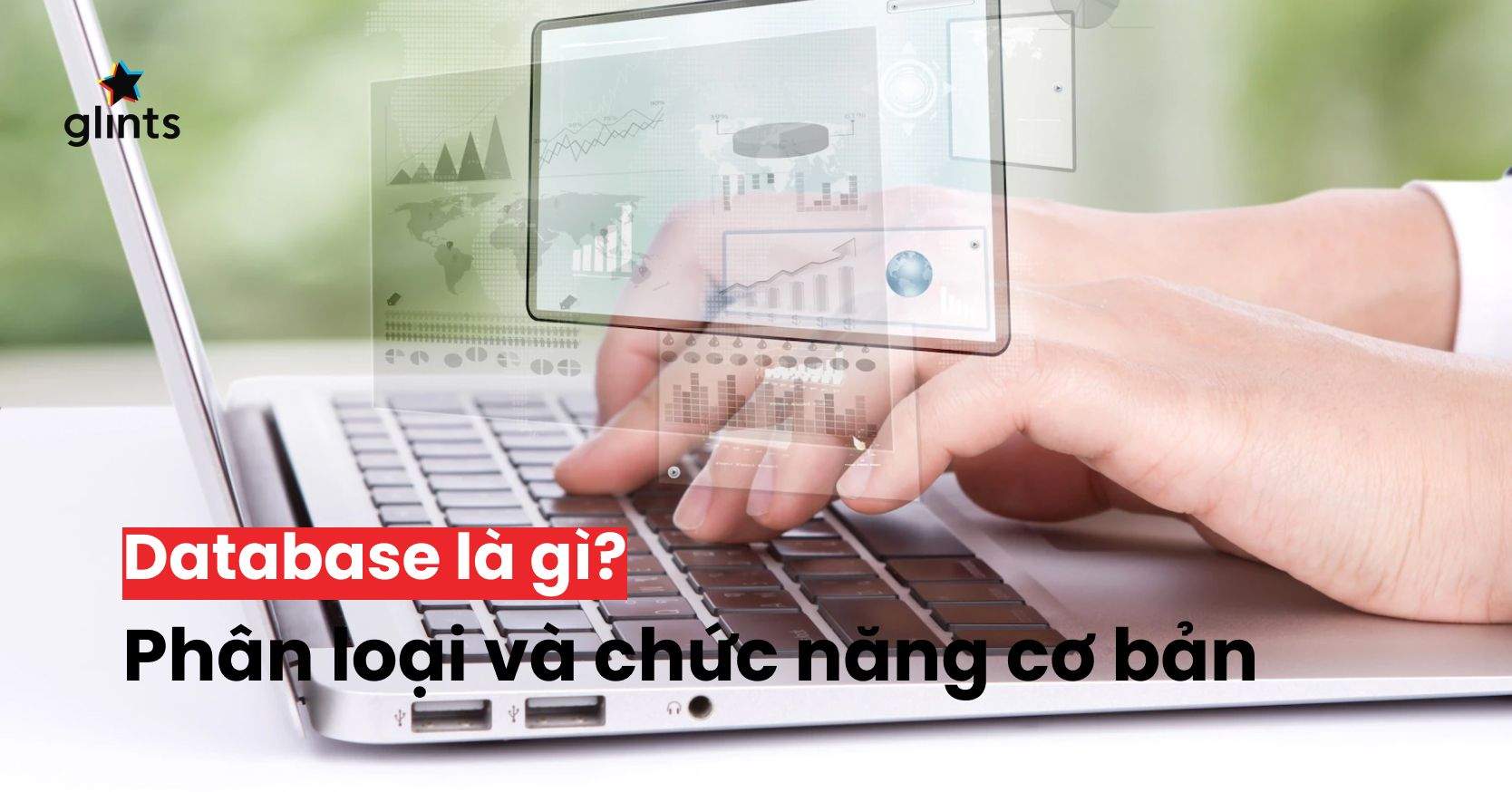 Database Là Gì? Phân Loại Và Chức Năng Cơ Bản