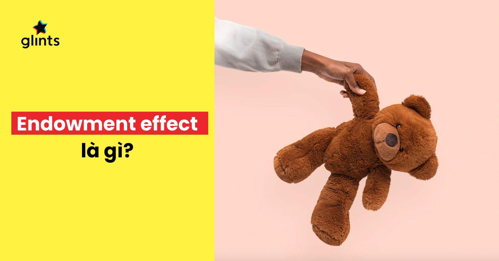 Endowment Effect Là Gì? Ứng Dụng Và Ví Dụ Của Endowment Effect