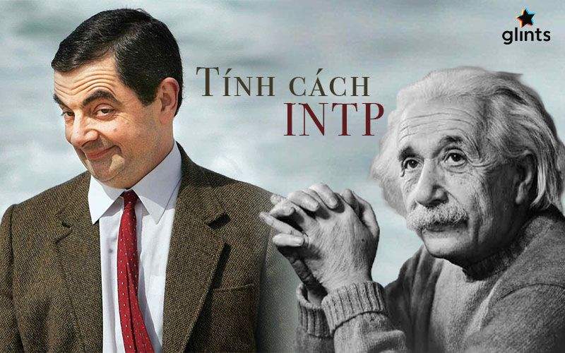Giải Mã Tính Cách INTP: Những Bộ Óc Thiên Tài “Dị Biệt” 8 nhóm tính cách intp