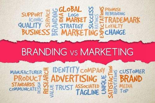 phân biệt marketing manager vs brand manager