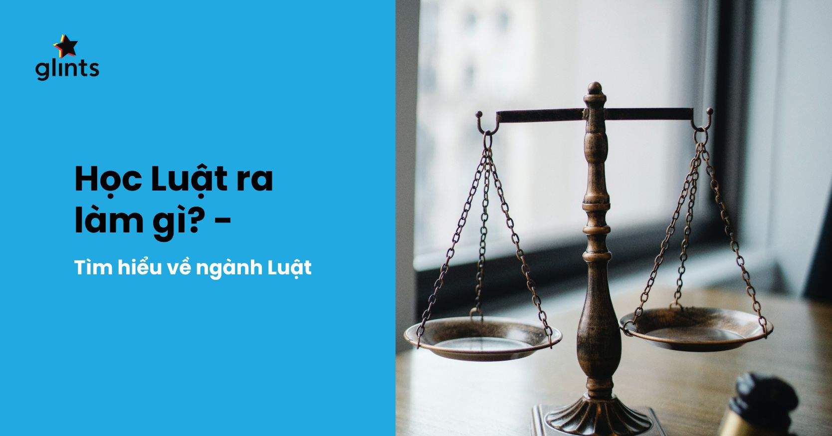 Học Luật Ra Làm Gì? Tất Tần Tật Về Ngành Học Đặc Thù Ở Việt Nam   