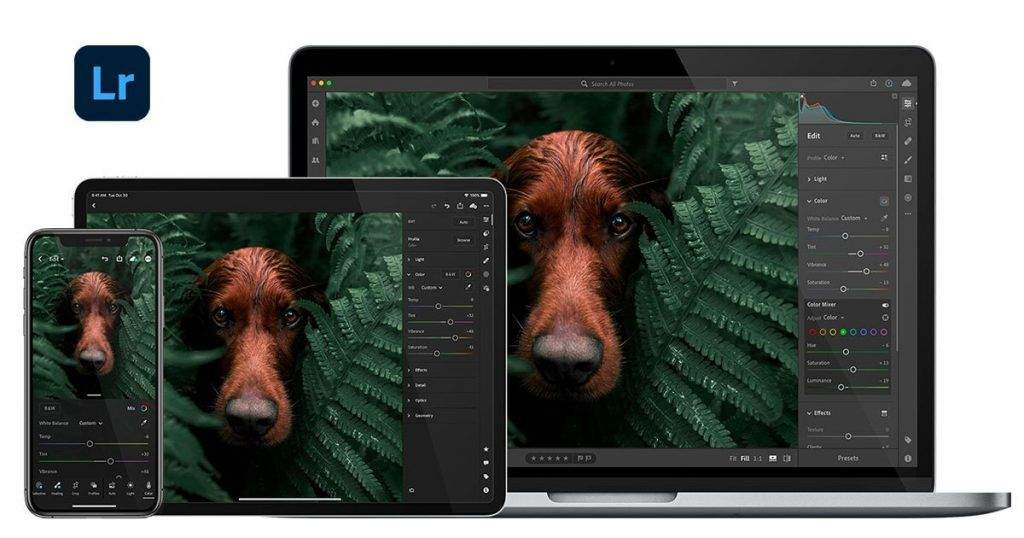Học Thiết Kế Đồ Họa Cần Biết Những Công Cụ Và Phần Mềm Gì? 20 Adobe Lightroom