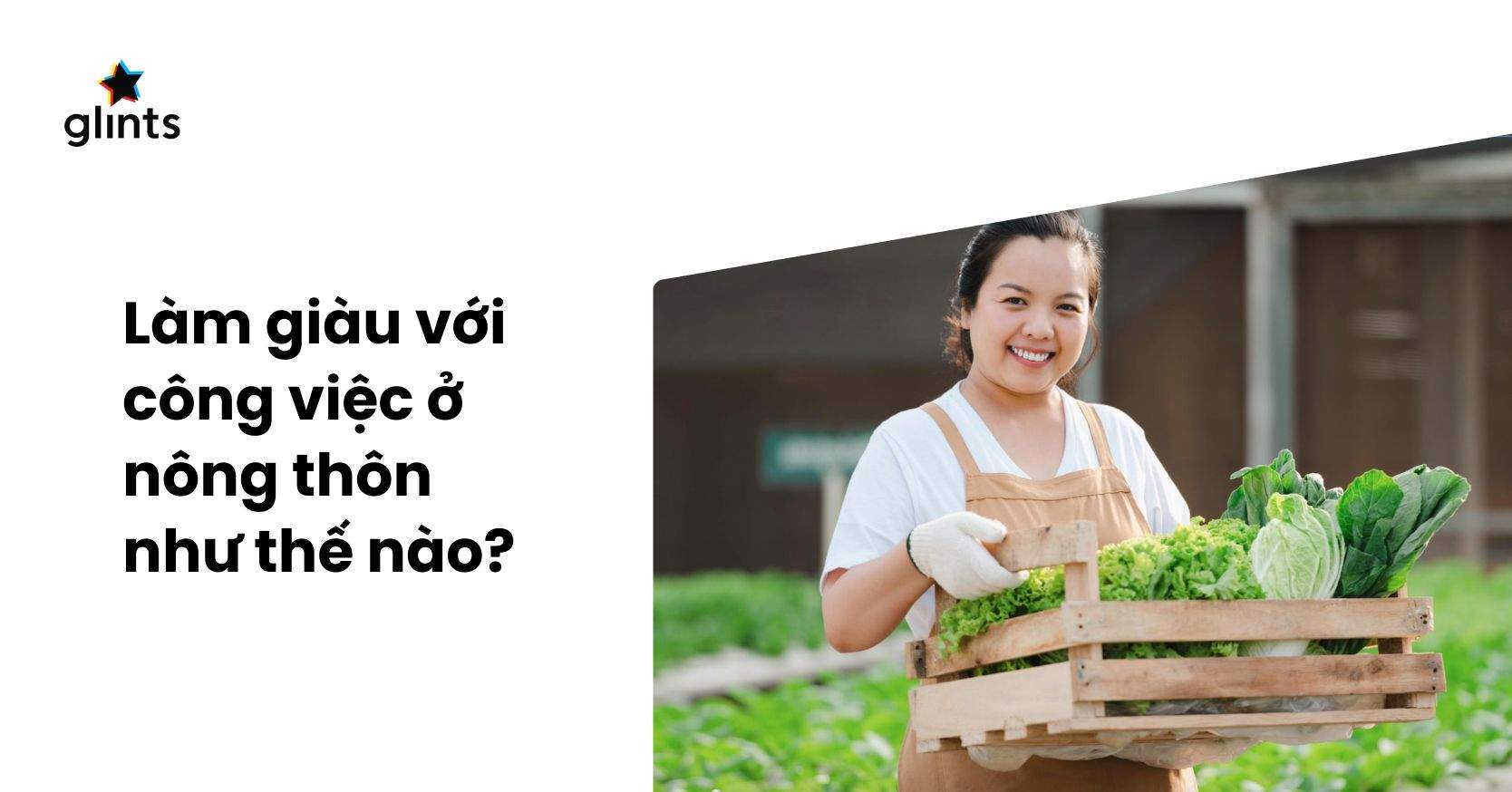 Làm Giàu Từ Công Việc Ở Nông Thôn Không Khó