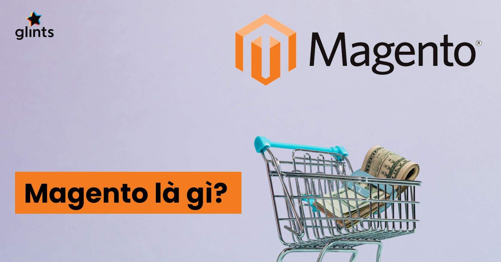 Magento Là Gì? Trở Thành Magento Developer, Nên Hay Không?