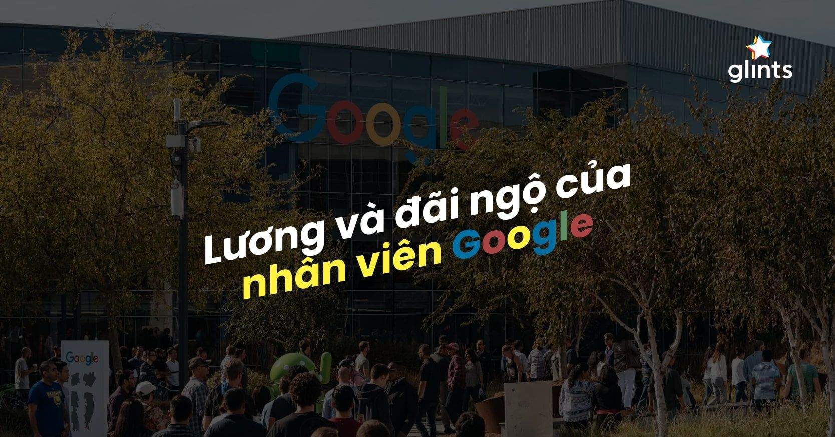 Mức Lương Nhân Viên Google Có Cao Không? Chính Sách Quản Trị Nhân Sự Tại Google