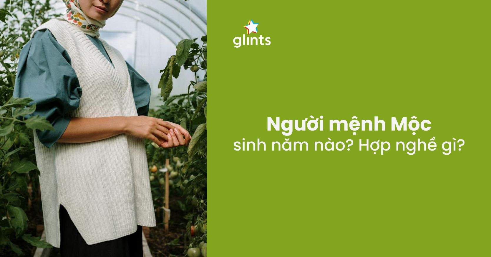 Người Mệnh Mộc Làm Nghề Gì Là Phù Hợp Nhất?