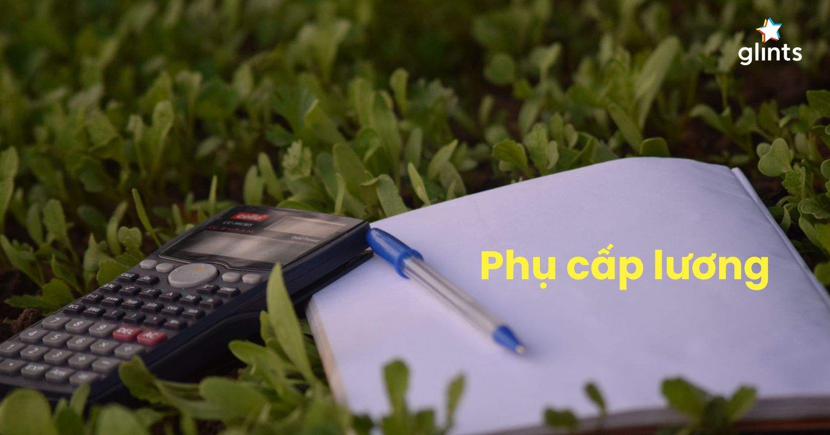 Phụ Cấp Lương Là Gì? Các Loại Phụ Cấp Lương Cho Người Lao Động