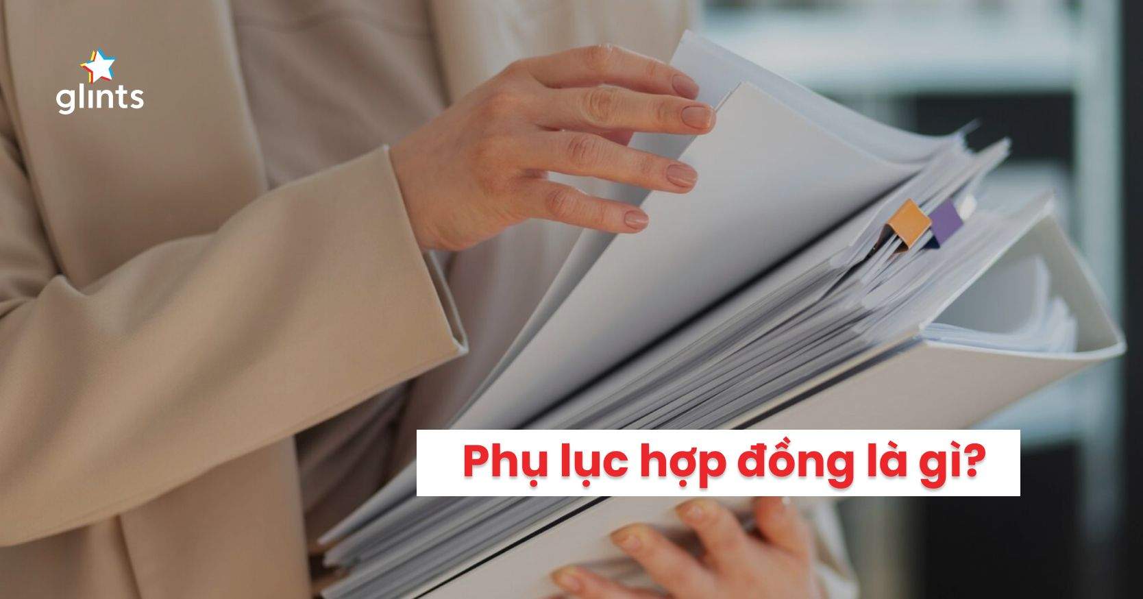 Phụ Lục Hợp Đồng Là Gì? 4 Điểm Quan Trọng Trước Khi Ký Phụ Lục Hợp Đồng