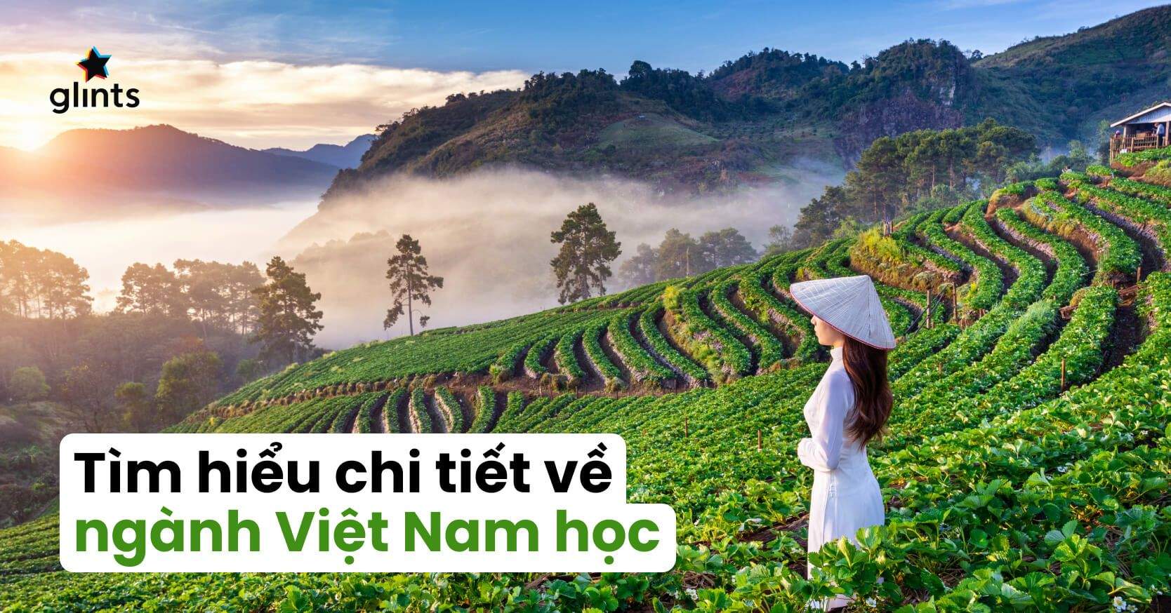 Tất Tần Tật Về Ngành Việt Nam Học
