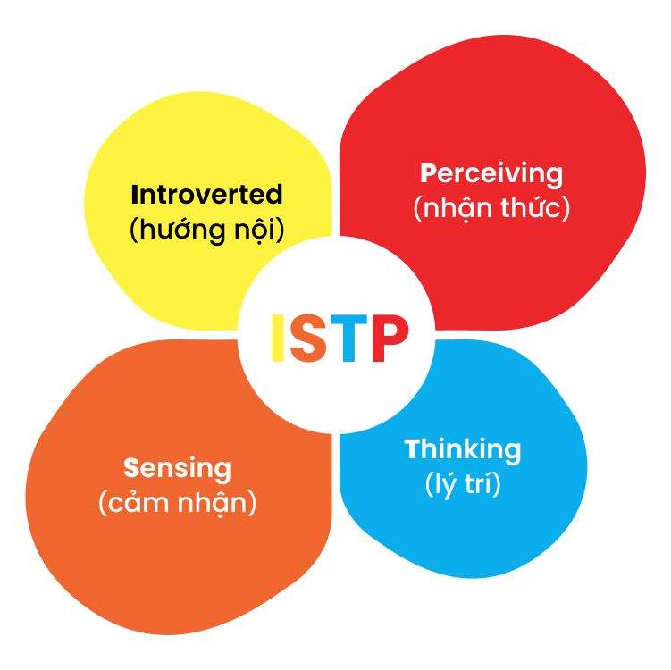 Tính Cách ISTP Là Gì? Nghề Nghiệp Nào Phù Hợp Với ISTP? – Kabala Career