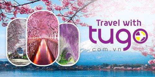 Top 13 Các Công Ty Startup Việt Nam Phát Triển Thành Công Nhất 20 các startup thành công