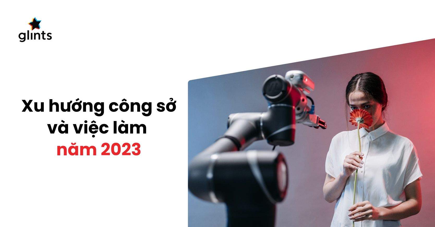 Top 5 Xu Hướng Việc Làm Năm 2024 Không Thể Bỏ Qua