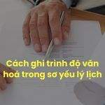 Trình Độ Văn Hoá Là Gì? Cách Ghi Trình Độ Văn Hóa Trong Sơ Yếu Lý Lịch