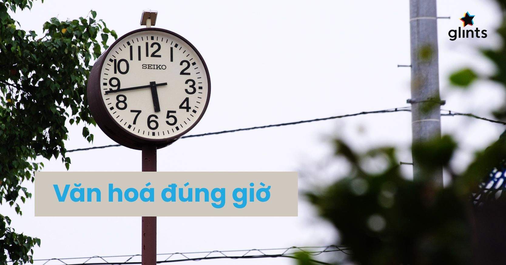 Văn Hóa Đúng Giờ Ở Việt Nam: Thực Trạng Và Cách Cải Thiện